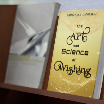 mockup-of-a-hard-cover-book-on-a-wooden-bookshelf-16560 - Copy